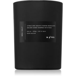DW Home M. of W.G. Sea Salt candela profumata 250 g