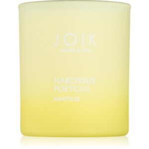 JOIK Home & Spa Narcissus candela profumata 150 g