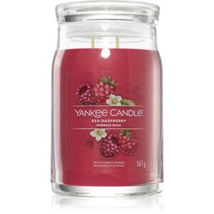 Yankee Candle Red Raspberry candela profumata Signature 567 g