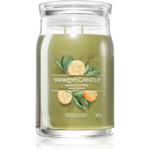 Yankee Candle Sage & Citrus candela profumata Signature 567 g