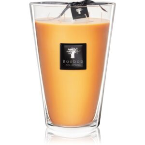 Baobab Collection All Seasons Zanzibar Spices candela profumata 6500 g