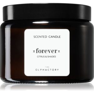 Ambientair The Olphactory Citrus & Shades candela profumata Forever 360 g