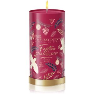 Baylis & Harding The Fuzzy Duck Winter Wonderland candela profumata profumi Cranberry 390 g