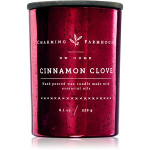 DW Home Charming Farmhouse Cinnamon Clove candela profumata 230 g