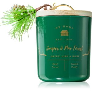 DW Home Farmhouse Juniper & Pine Forest candela profumata 445 g