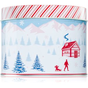 DW Home Scene & Stripes Peppermint Bark candela profumata 833 g