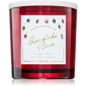 DW Home Winter Wonderland Snowflake Kisses candela profumata 510 g