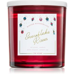DW Home Winter Wonderland Snowflake Kisses candela profumata 374 g