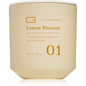 DW Home Lab Lemon Blossom candela profumata 411 g