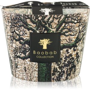 Baobab Collection Sacred Trees Kani candela profumata 500 g