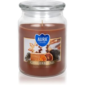 BISPOL Premium Line Gingebread candela profumata 500 g