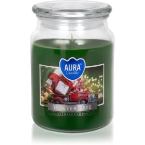 BISPOL Premium Line Winter Tree candela profumata 500 g